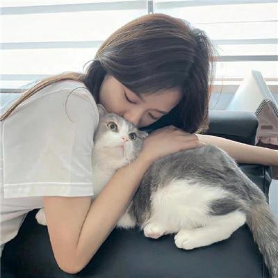 露营悄悄话